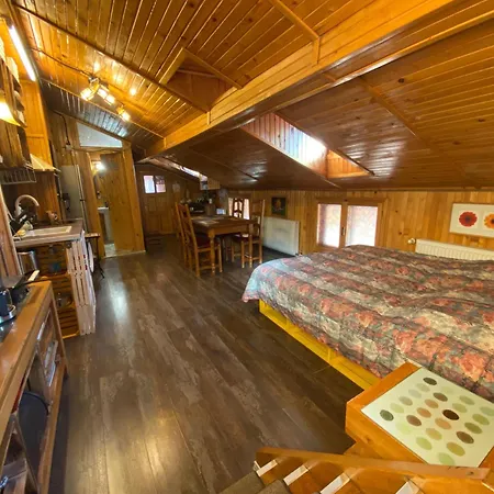 Wooden Attic * ブラショフ
